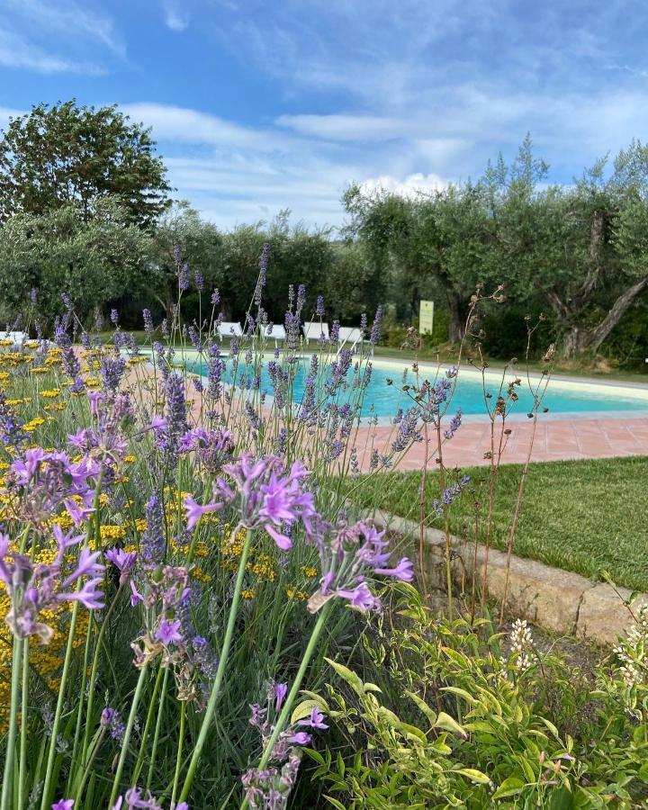 Glamping Suite Il Grillo Lamporecchio Eksteriør bilde